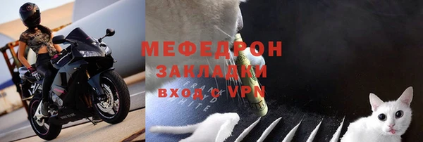 прущие грибы Аркадак