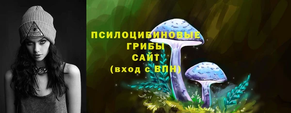 прущие грибы Аркадак