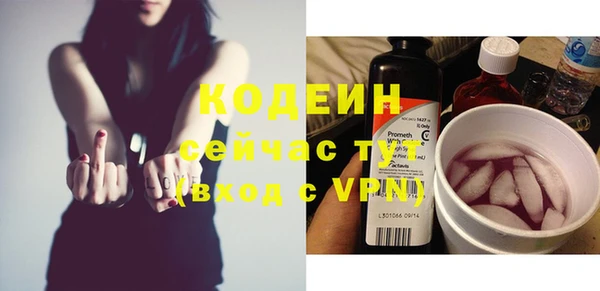 дурь Арсеньев