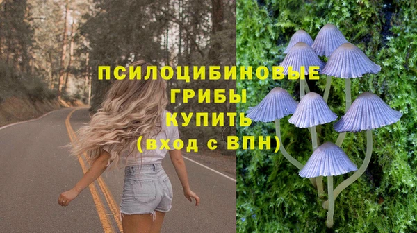 дурь Арсеньев