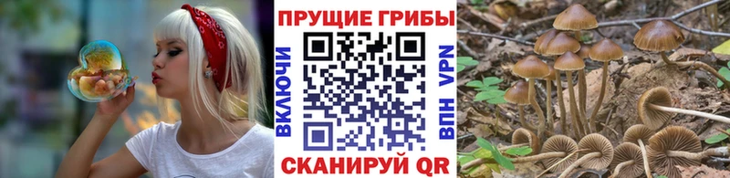 Псилоцибиновые грибы GOLDEN TEACHER Петухово